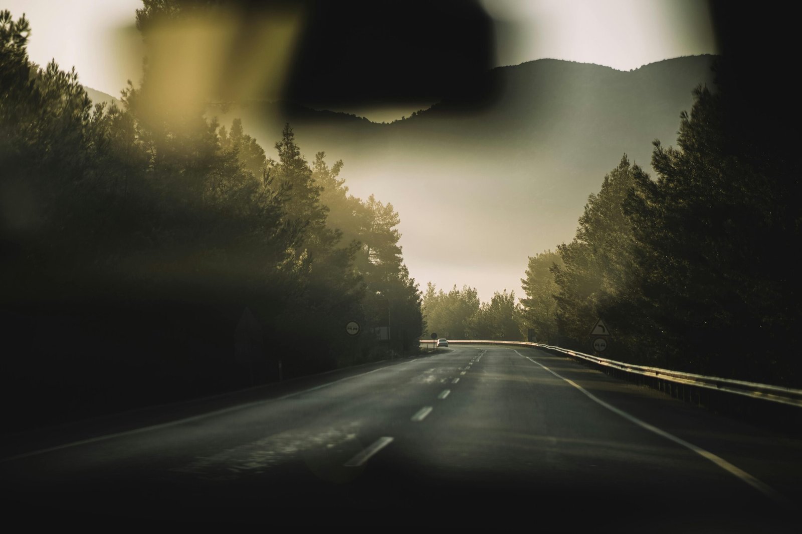 A serene drive through a misty forest at dawn, capturing the essence of solitude and nature.